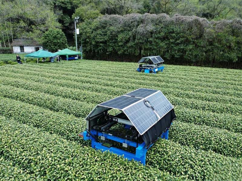 采茶机器人研发项目